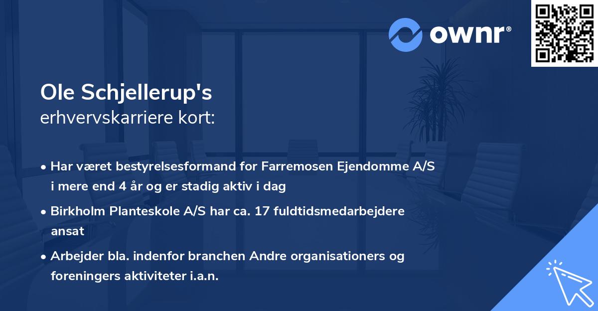 Ole Schjellerup's erhvervskarriere kort