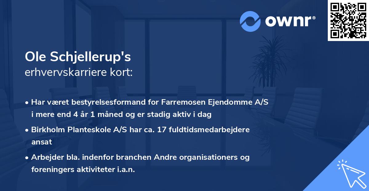 Ole Schjellerup's erhvervskarriere kort
