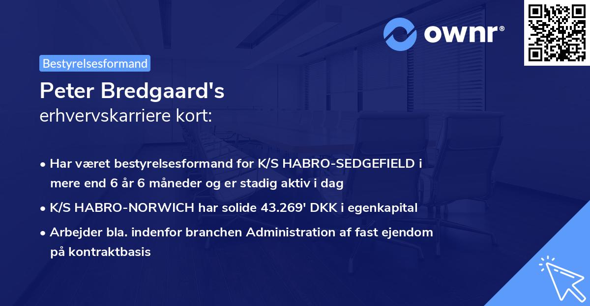 Peter Bredgaard's erhvervskarriere kort