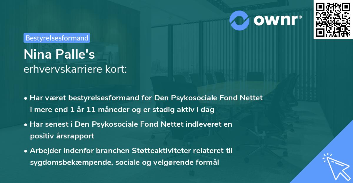 Nina Palle's erhvervskarriere kort