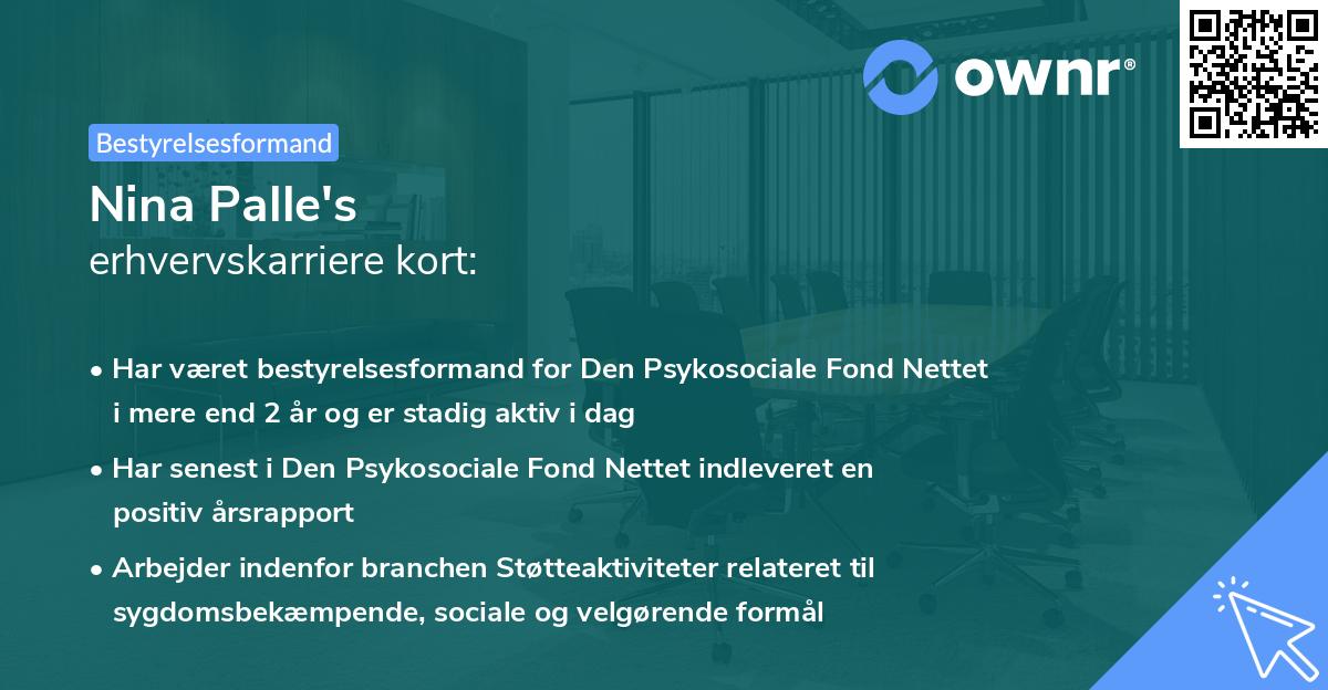 Nina Palle's erhvervskarriere kort
