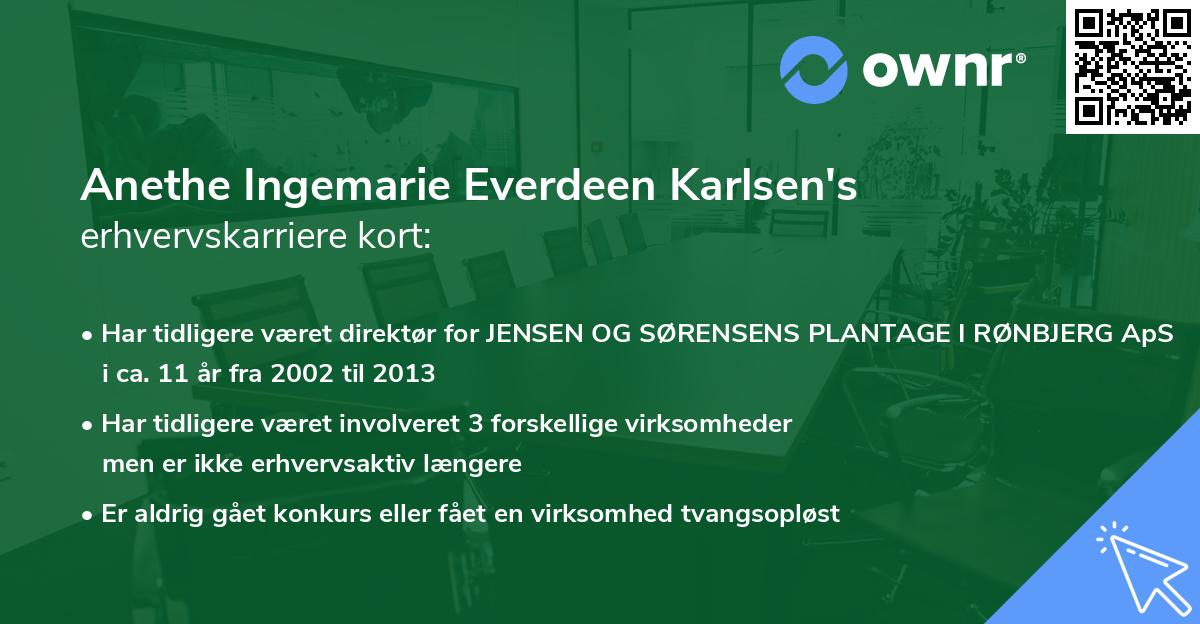 Anethe Ingemarie Everdeen Karlsen's erhvervskarriere kort