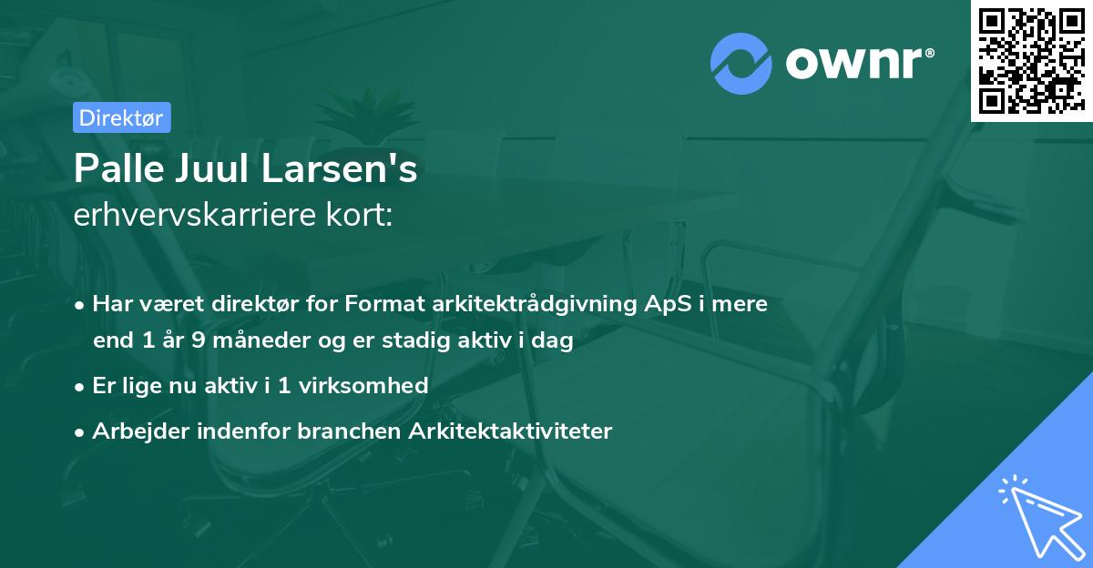 Palle Juul Larsen's erhvervskarriere kort