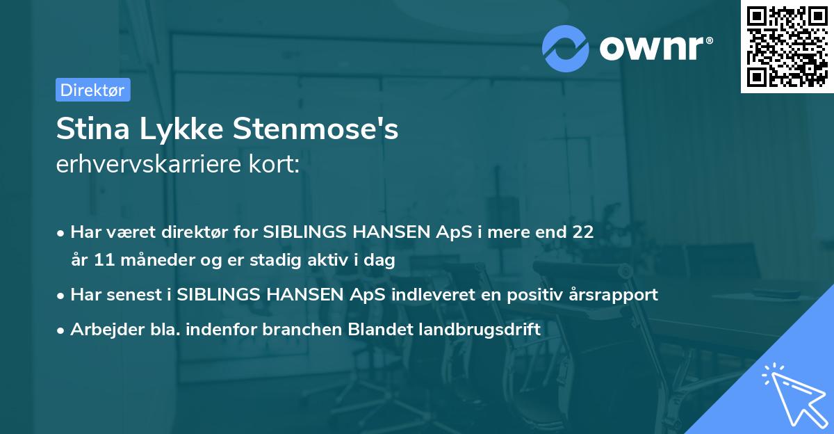 Stina Lykke Stenmose's erhvervskarriere kort
