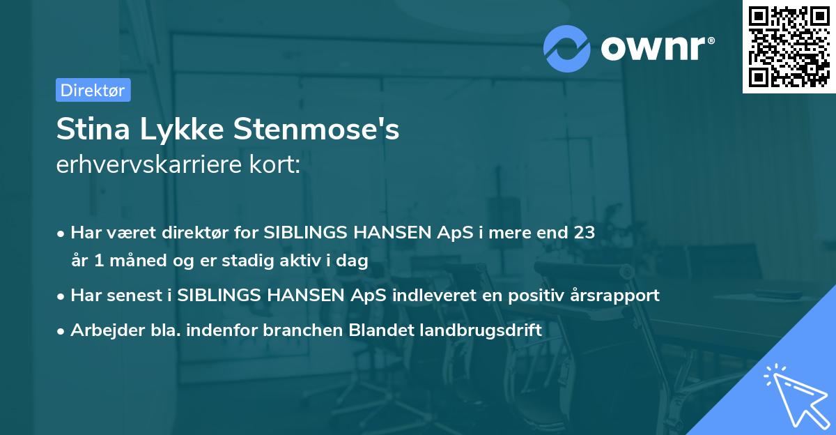 Stina Lykke Stenmose's erhvervskarriere kort