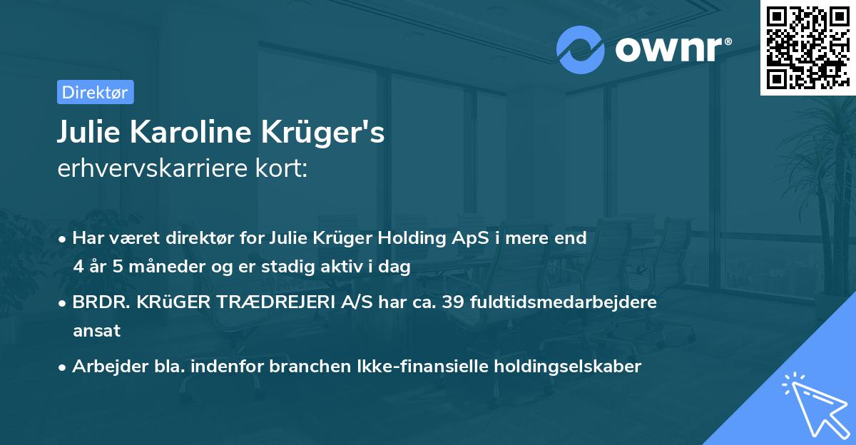 Julie Karoline Krüger's erhvervskarriere kort