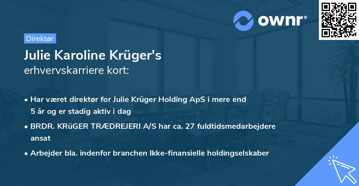 Julie Karoline Krüger's erhvervskarriere kort
