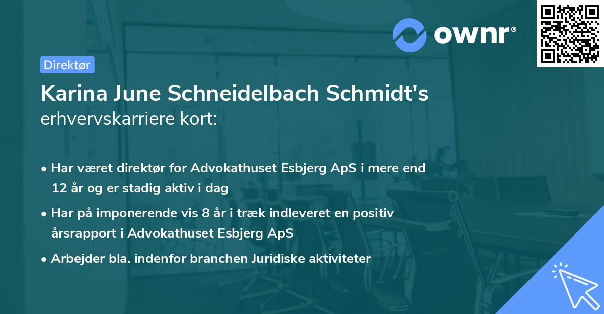 Karina June Schneidelbach Schmidt's erhvervskarriere kort