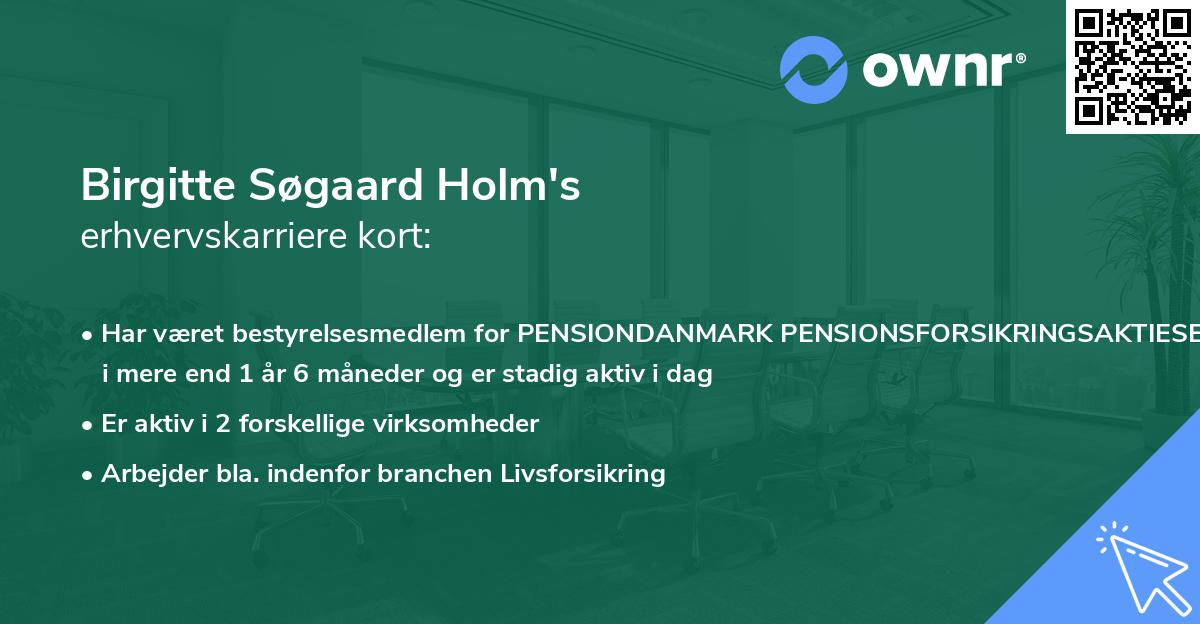 Birgitte Søgaard Holm's erhvervskarriere kort