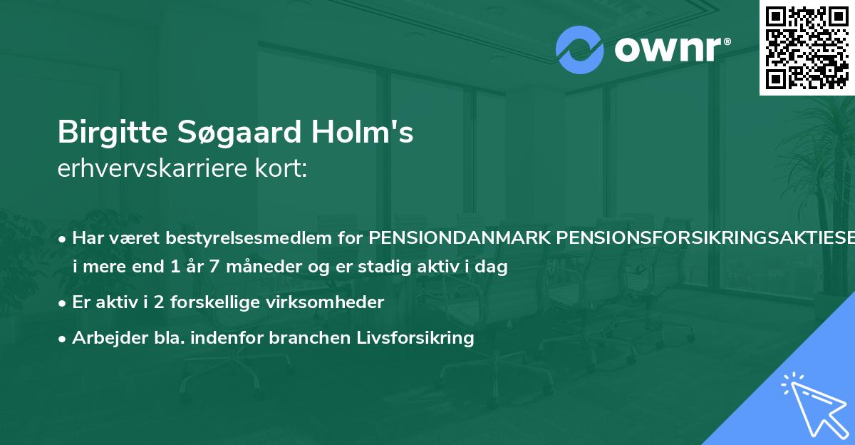 Birgitte Søgaard Holm's erhvervskarriere kort