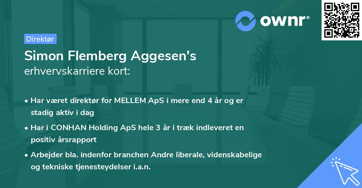 Simon Flemberg Aggesen's erhvervskarriere kort