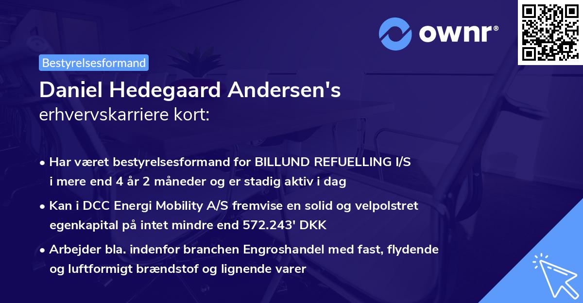 Daniel Hedegaard Andersen's erhvervskarriere kort