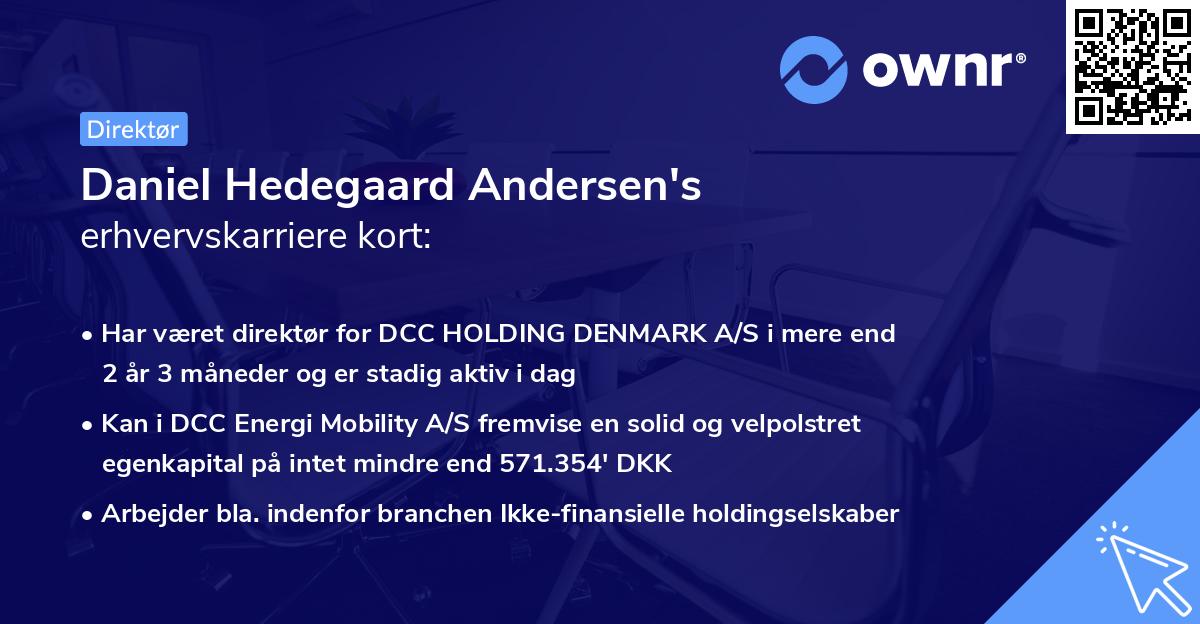 Daniel Hedegaard Andersen's erhvervskarriere kort