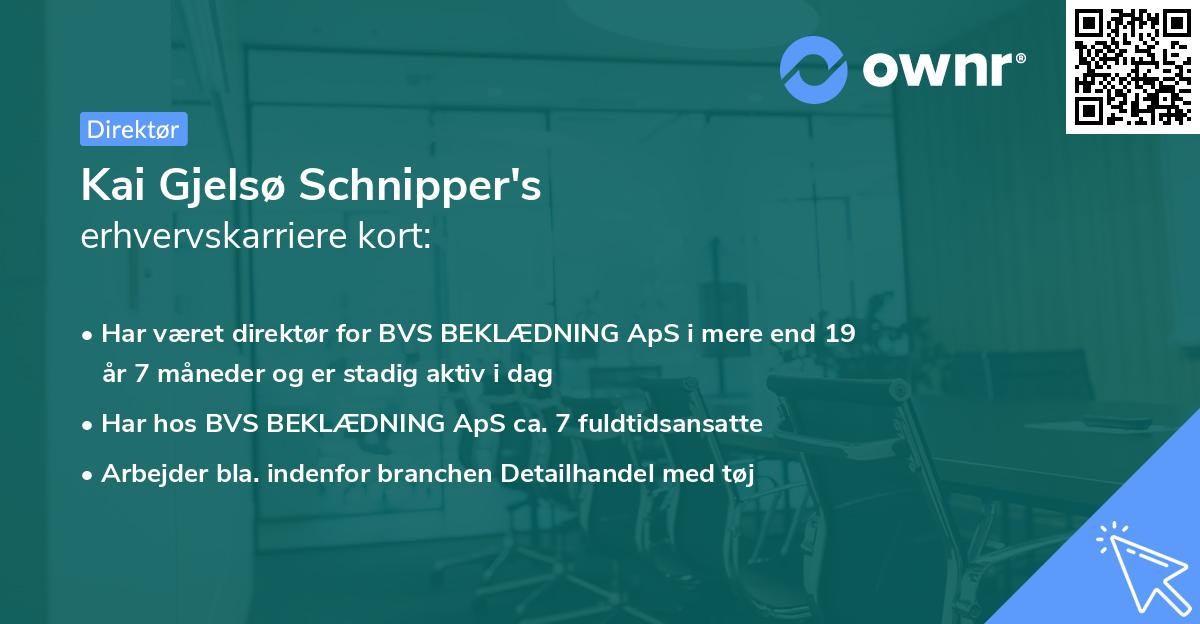 Kai Gjelsø Schnipper's erhvervskarriere kort
