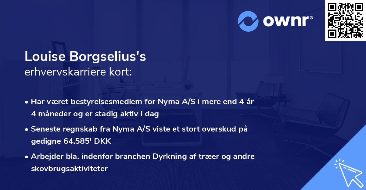 Louise Borgselius's erhvervskarriere kort