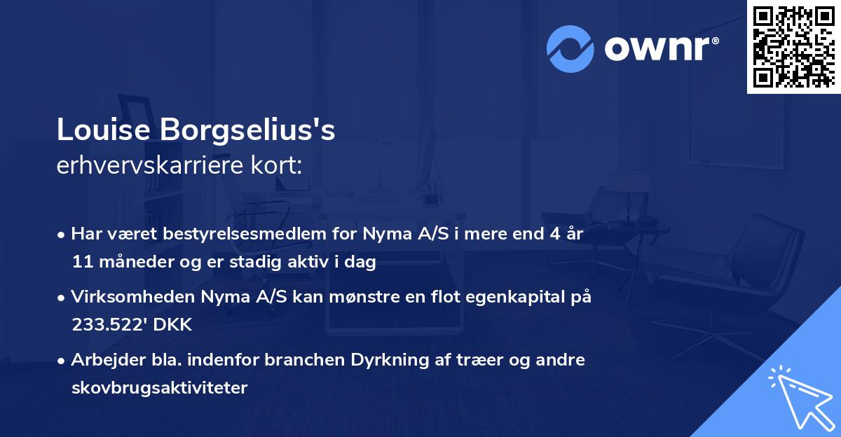 Louise Borgselius's erhvervskarriere kort