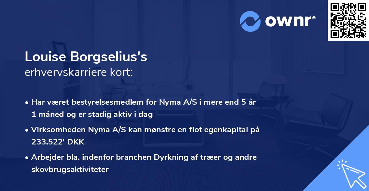 Louise Borgselius's erhvervskarriere kort