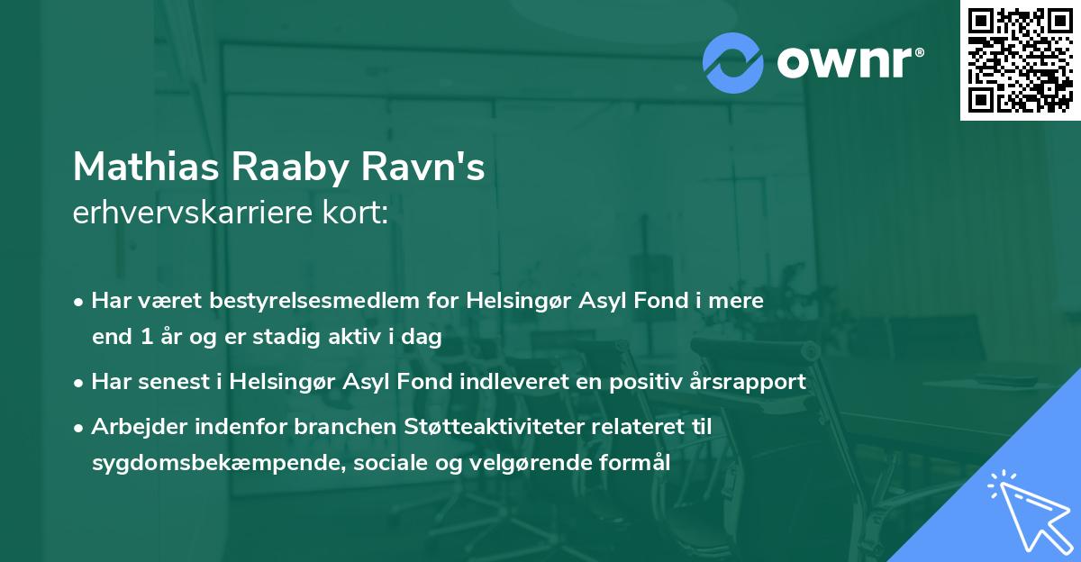 Mathias Raaby Ravn's erhvervskarriere kort