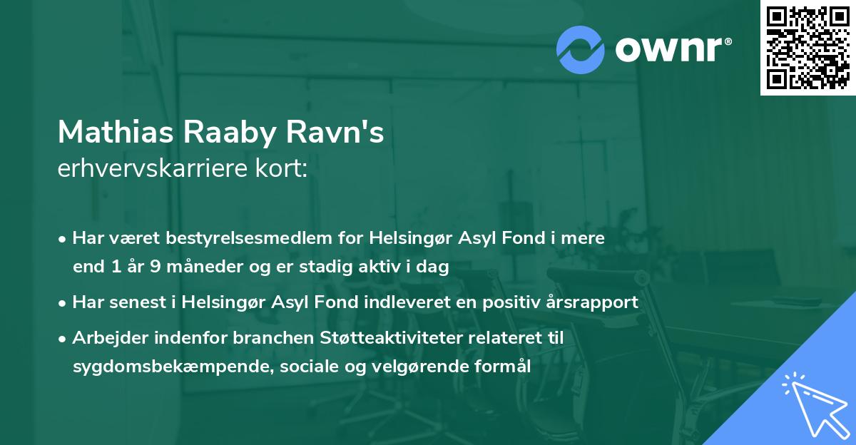 Mathias Raaby Ravn's erhvervskarriere kort
