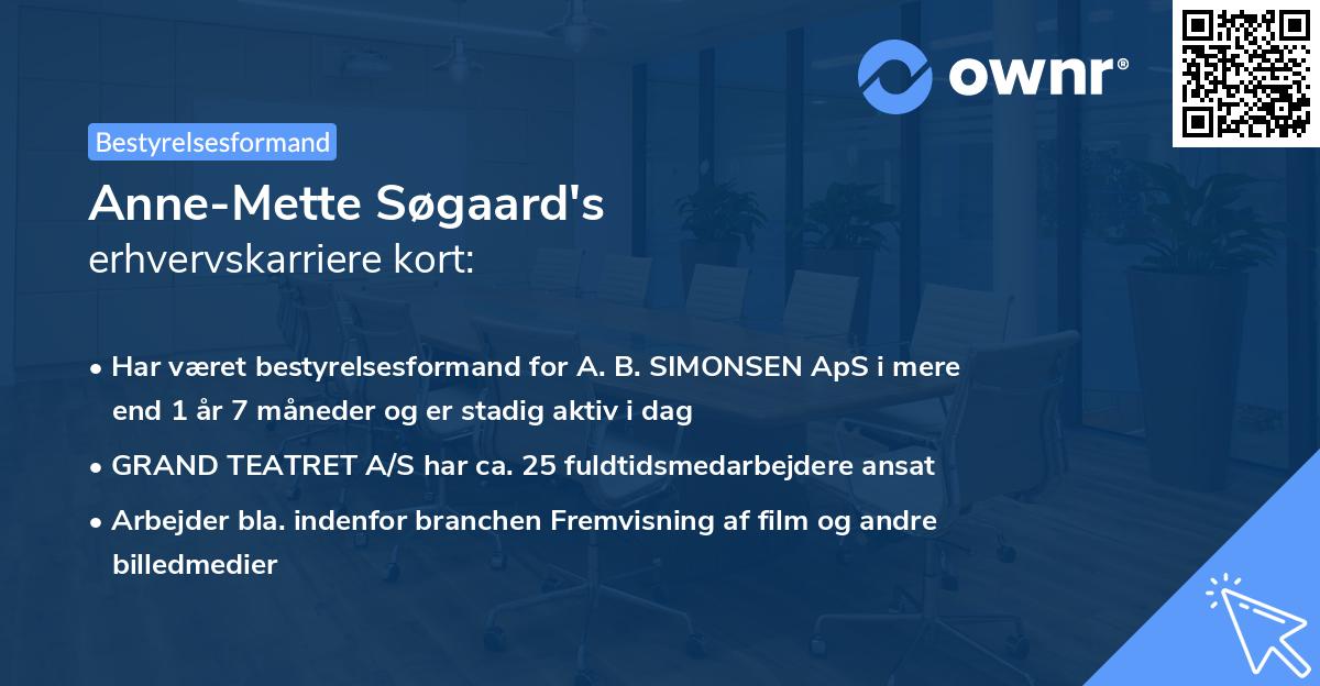 Anne-Mette Søgaard's erhvervskarriere kort