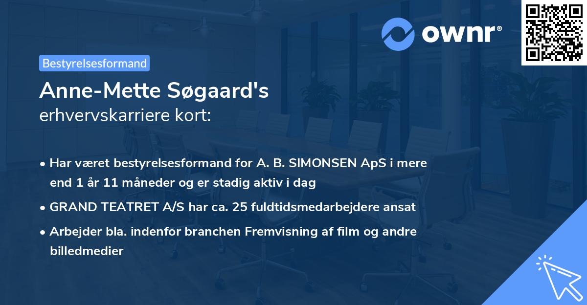 Anne-Mette Søgaard's erhvervskarriere kort