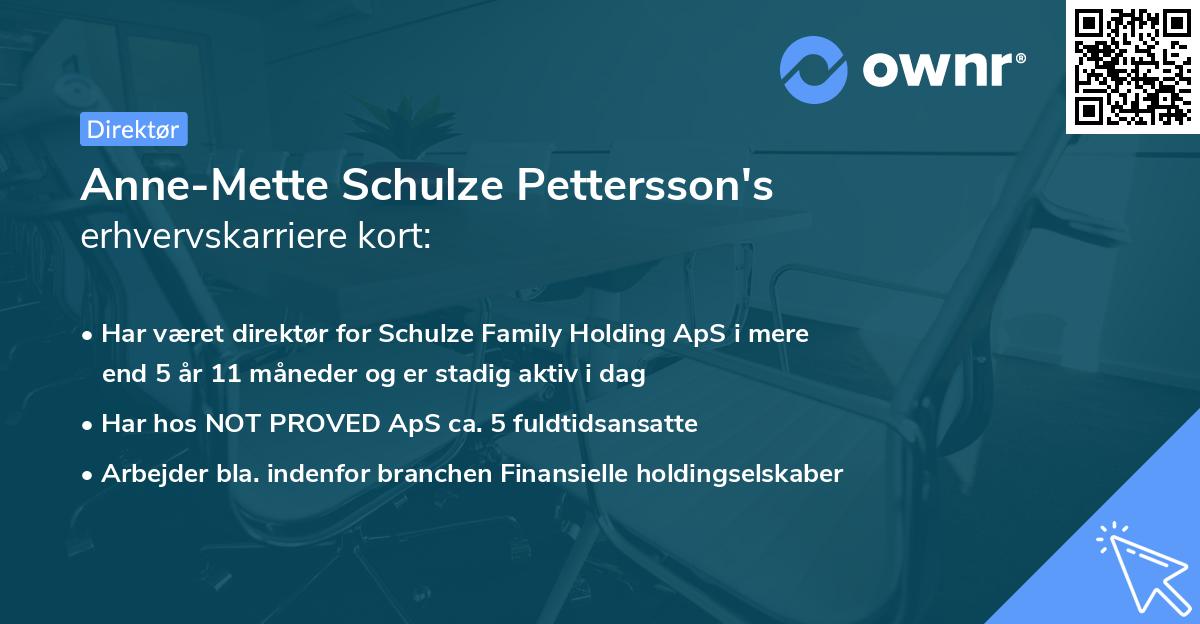 Anne-Mette Schulze Pettersson's erhvervskarriere kort