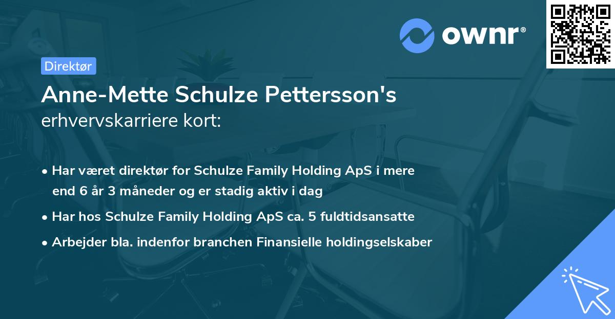 Anne-Mette Schulze Pettersson's erhvervskarriere kort