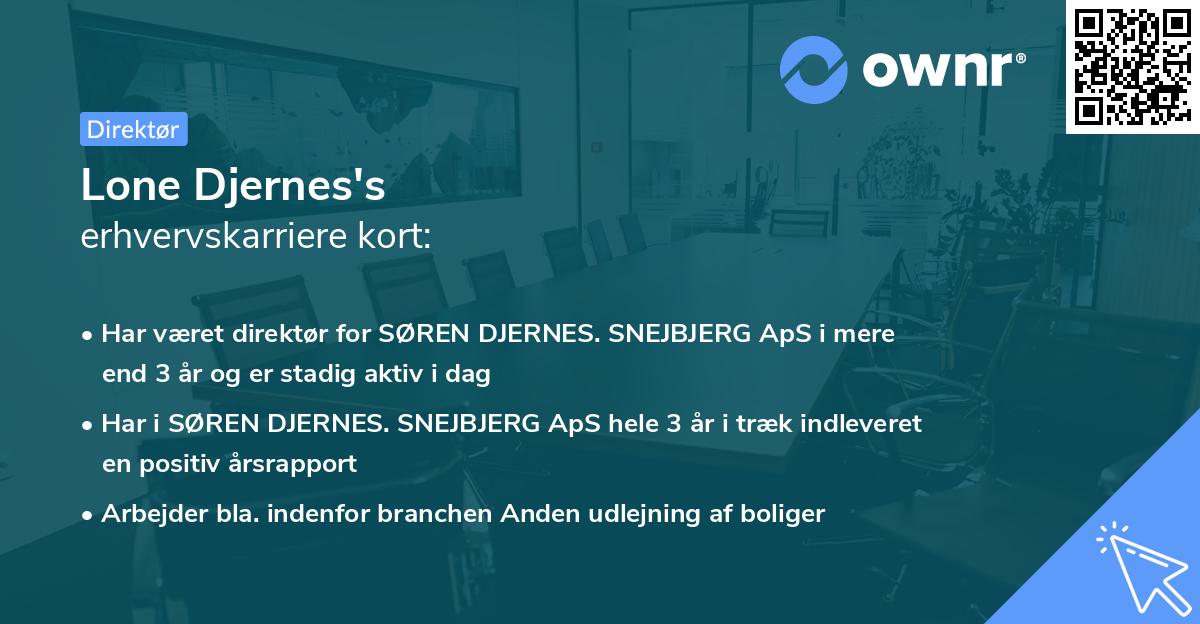 Lone Djernes's erhvervskarriere kort