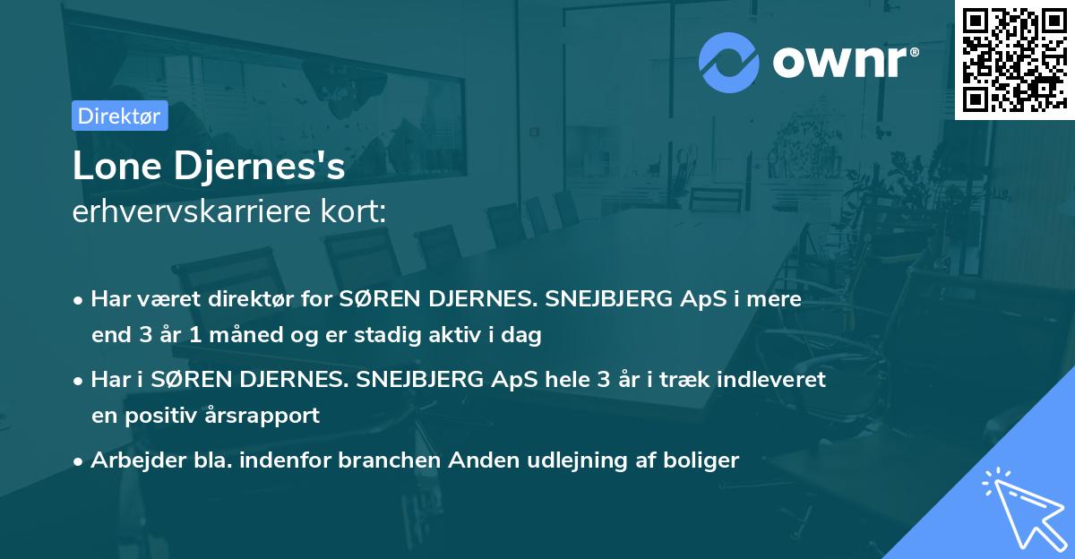 Lone Djernes's erhvervskarriere kort
