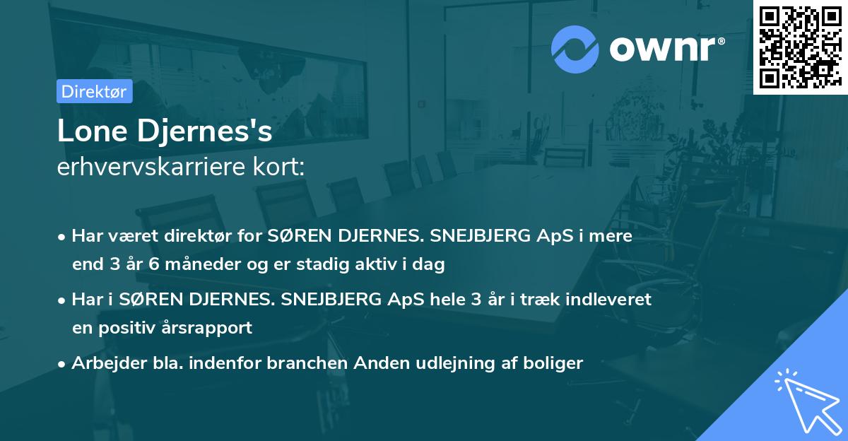Lone Djernes's erhvervskarriere kort