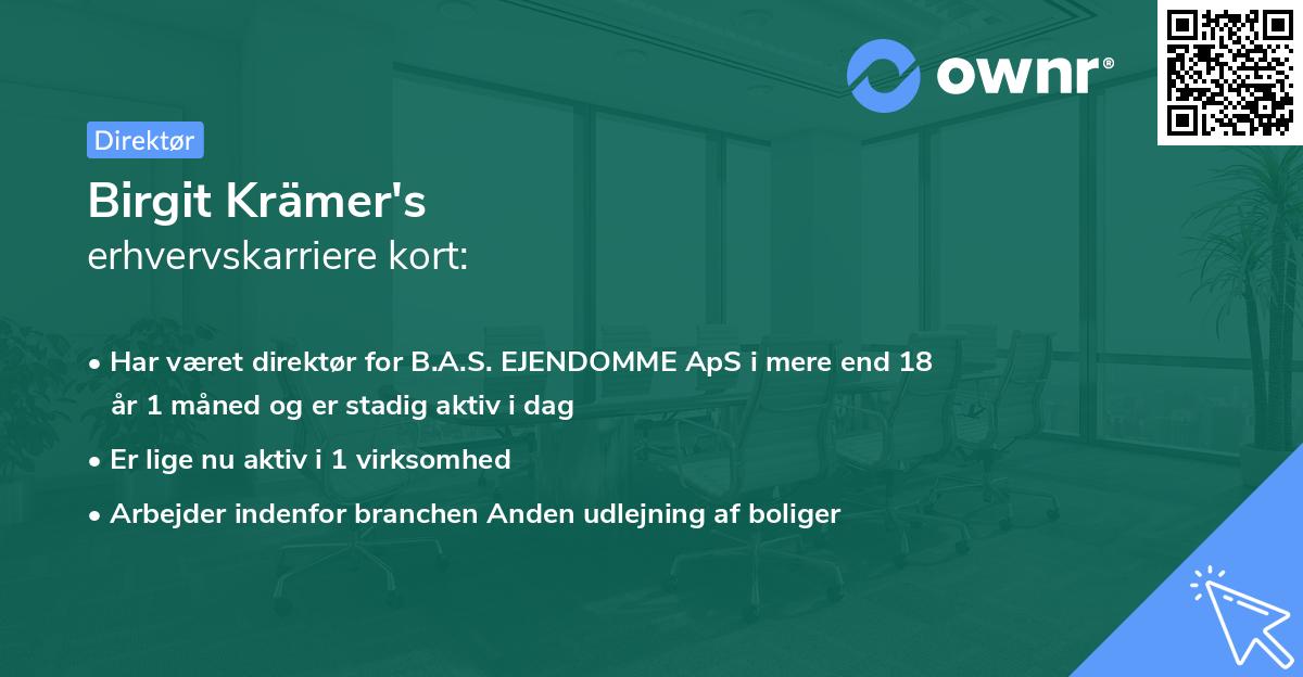 Birgit Krämer's erhvervskarriere kort