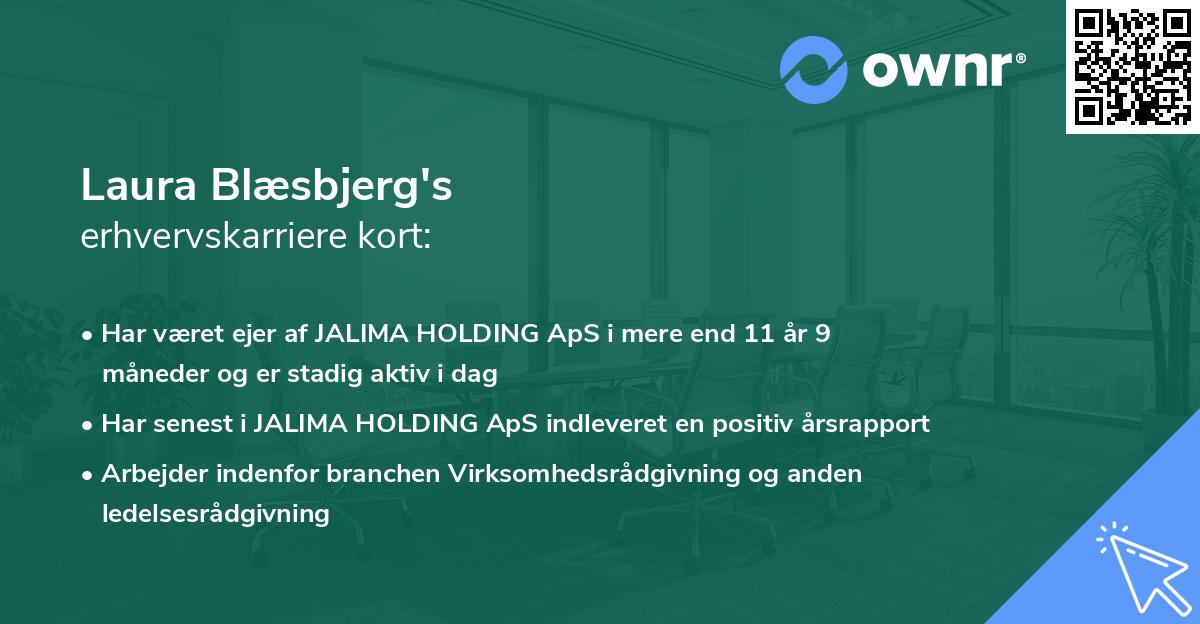 Laura Blæsbjerg's erhvervskarriere kort