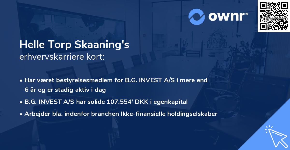Helle Torp Skaaning's erhvervskarriere kort