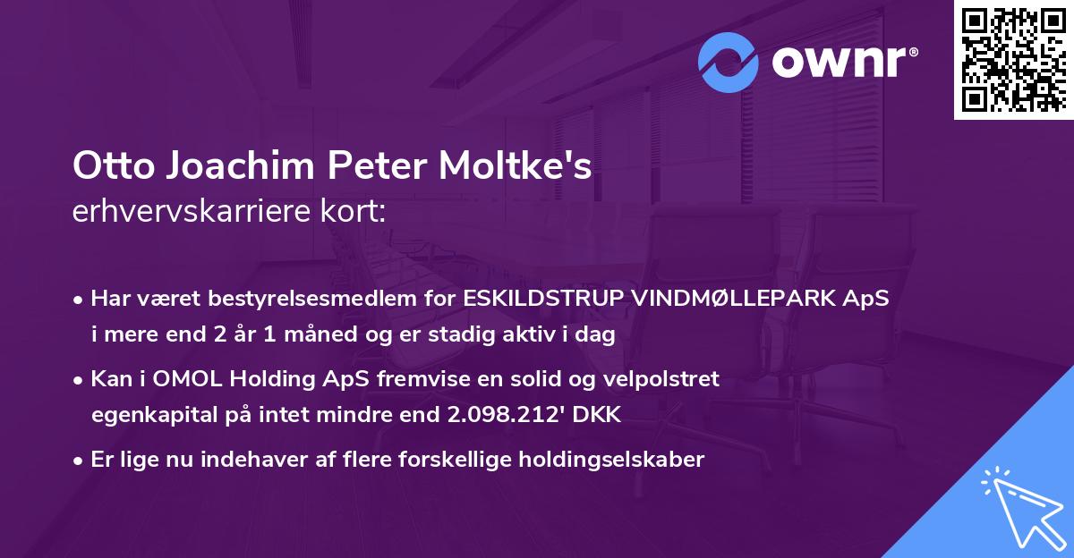 Otto Joachim Peter Moltke's erhvervskarriere kort