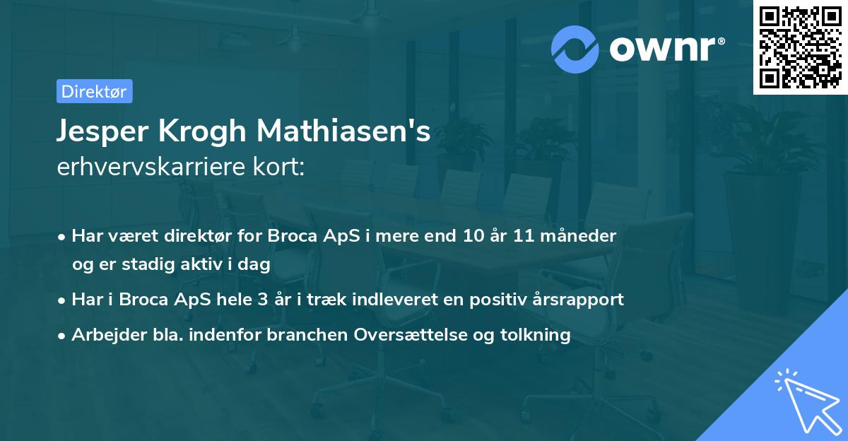 Jesper Krogh Mathiasen's erhvervskarriere kort
