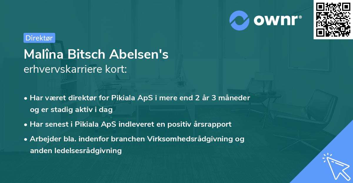 Malîna Bitsch Abelsen's erhvervskarriere kort