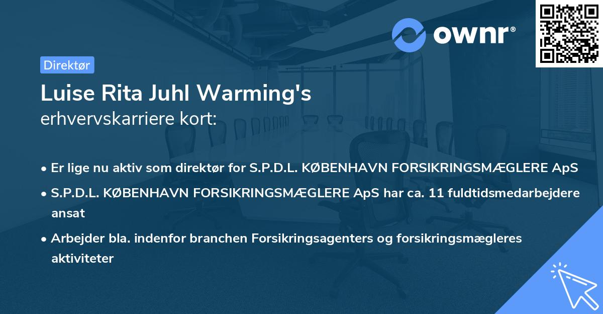 Luise Rita Juhl Warming's erhvervskarriere kort