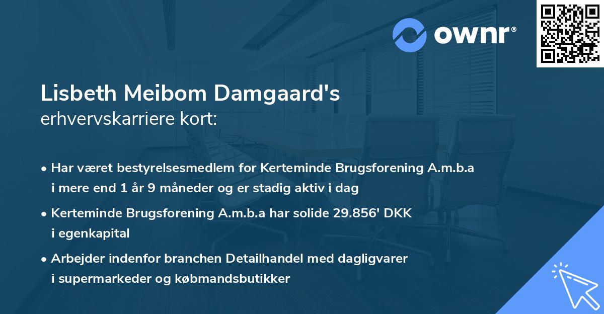 Lisbeth Meibom Damgaard's erhvervskarriere kort