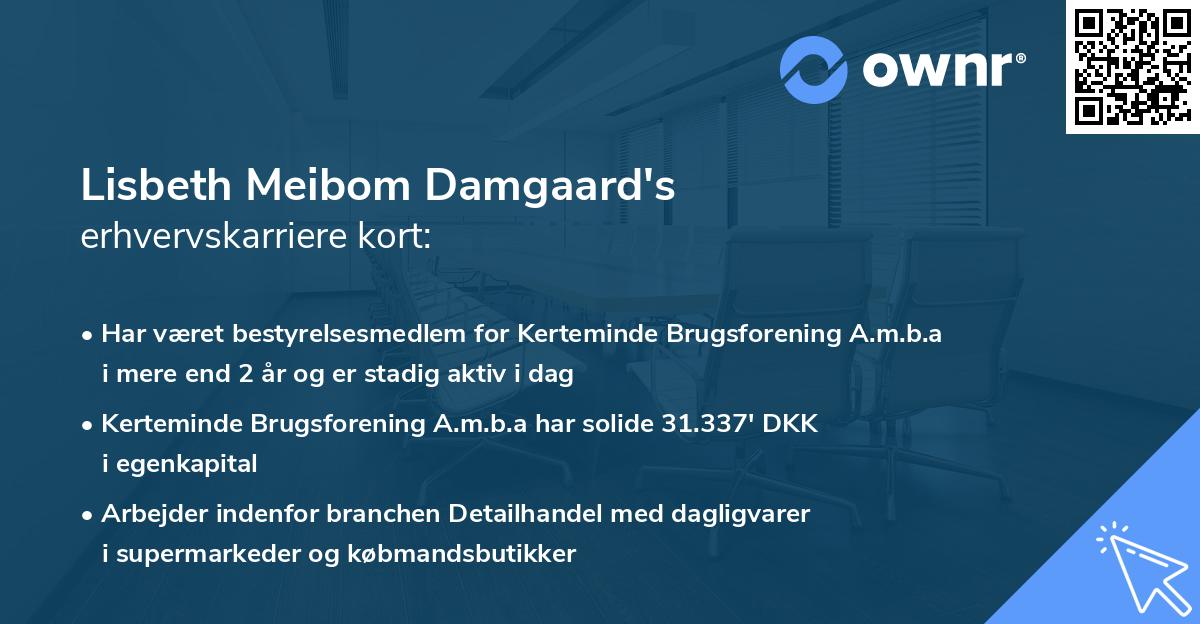 Lisbeth Meibom Damgaard's erhvervskarriere kort