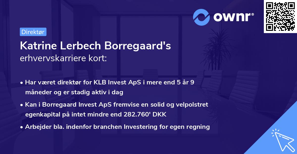 Katrine Lerbech Borregaard's erhvervskarriere kort