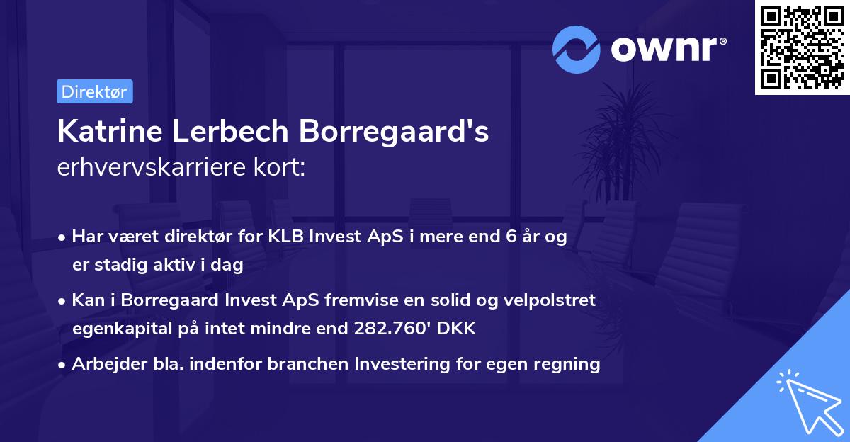 Katrine Lerbech Borregaard's erhvervskarriere kort