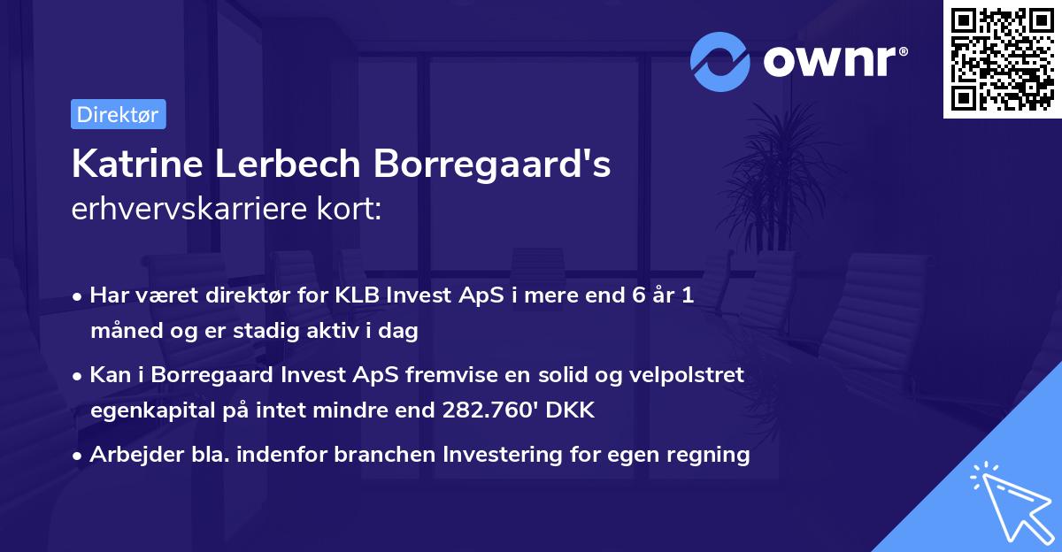 Katrine Lerbech Borregaard's erhvervskarriere kort