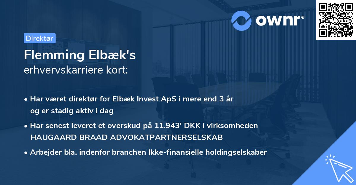 Flemming Elbæk's erhvervskarriere kort