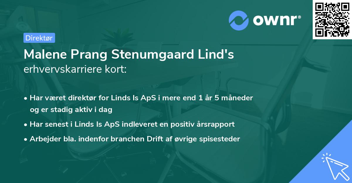 Malene Prang Stenumgaard Lind's erhvervskarriere kort