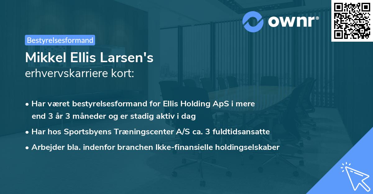 Mikkel Ellis Larsen's erhvervskarriere kort
