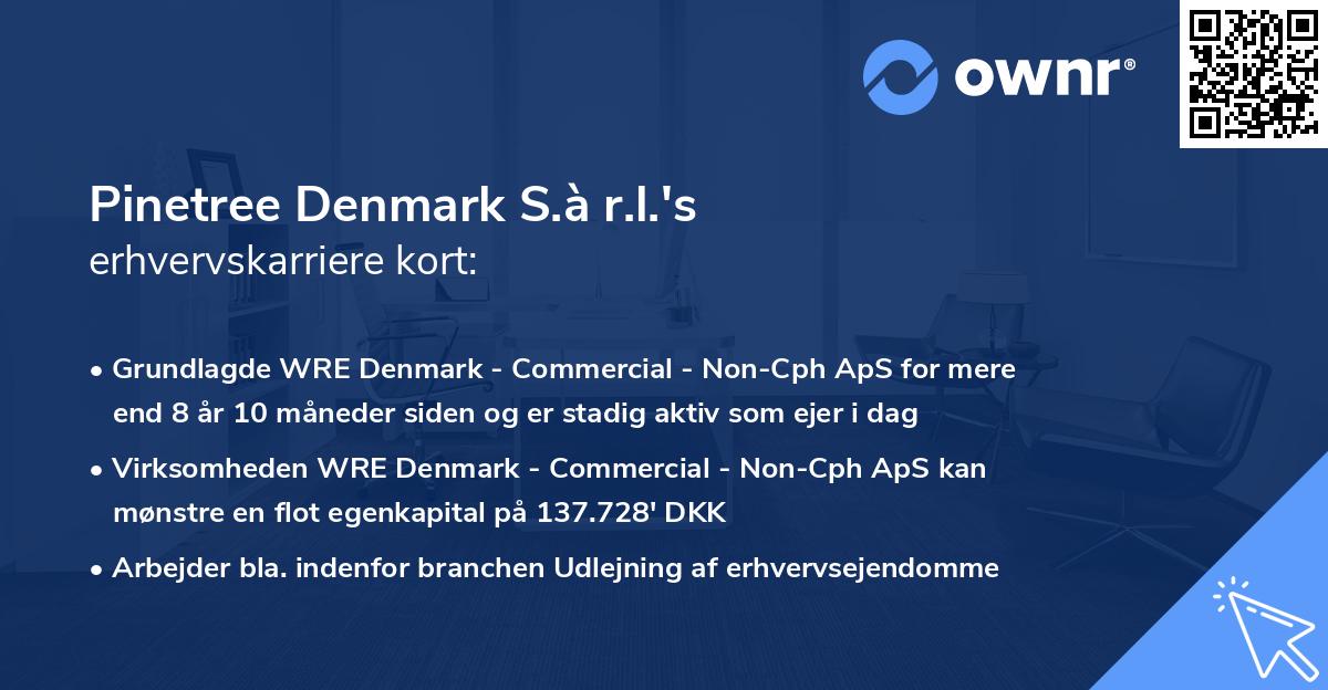 Pinetree Denmark S.à r.l.'s erhvervskarriere kort
