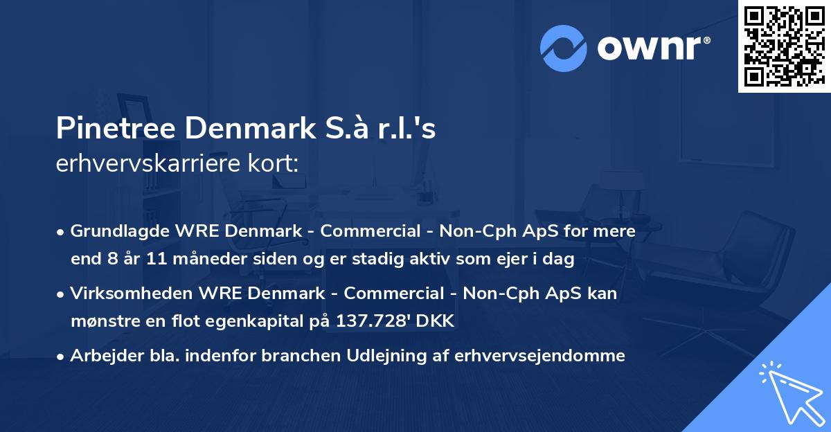 Pinetree Denmark S.à r.l.'s erhvervskarriere kort