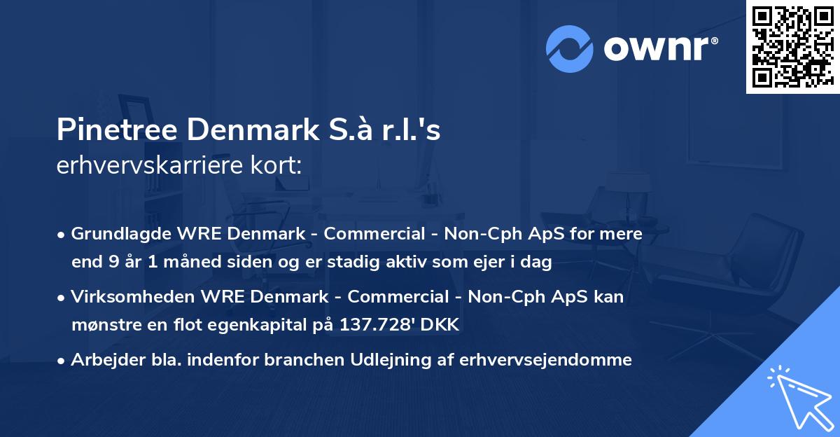 Pinetree Denmark S.à r.l.'s erhvervskarriere kort