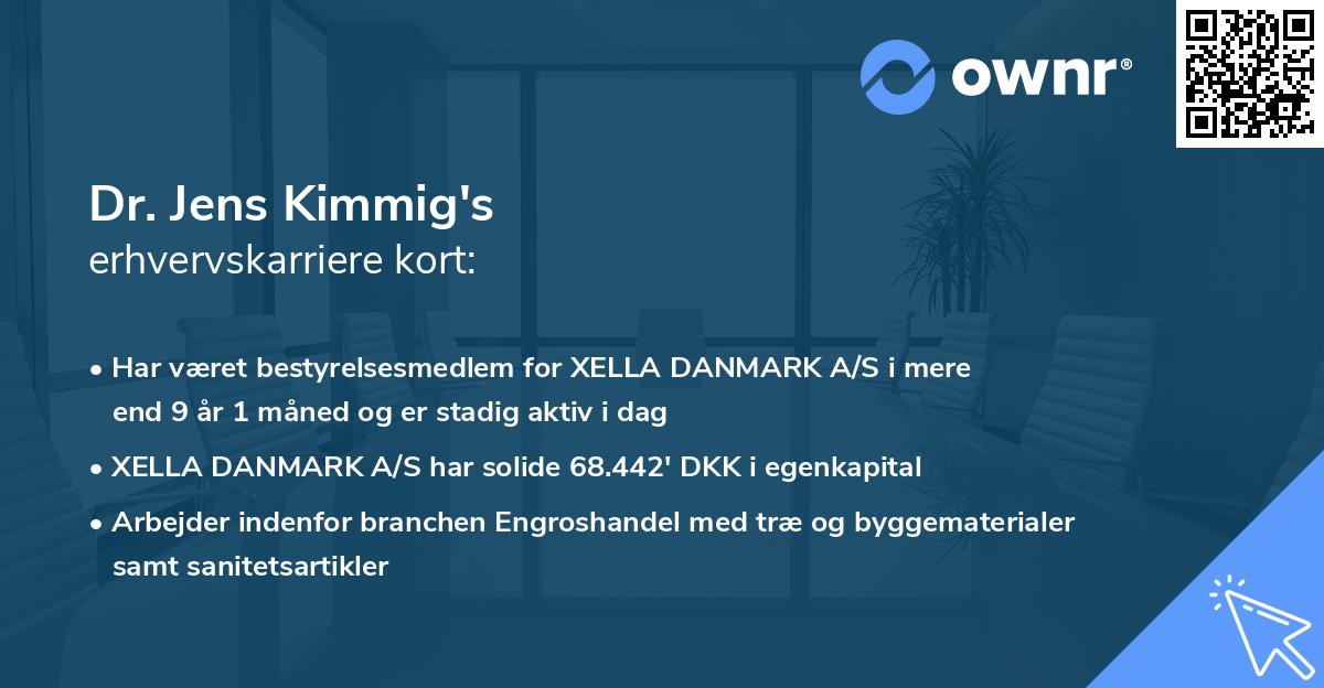 Dr. Jens Kimmig's erhvervskarriere kort