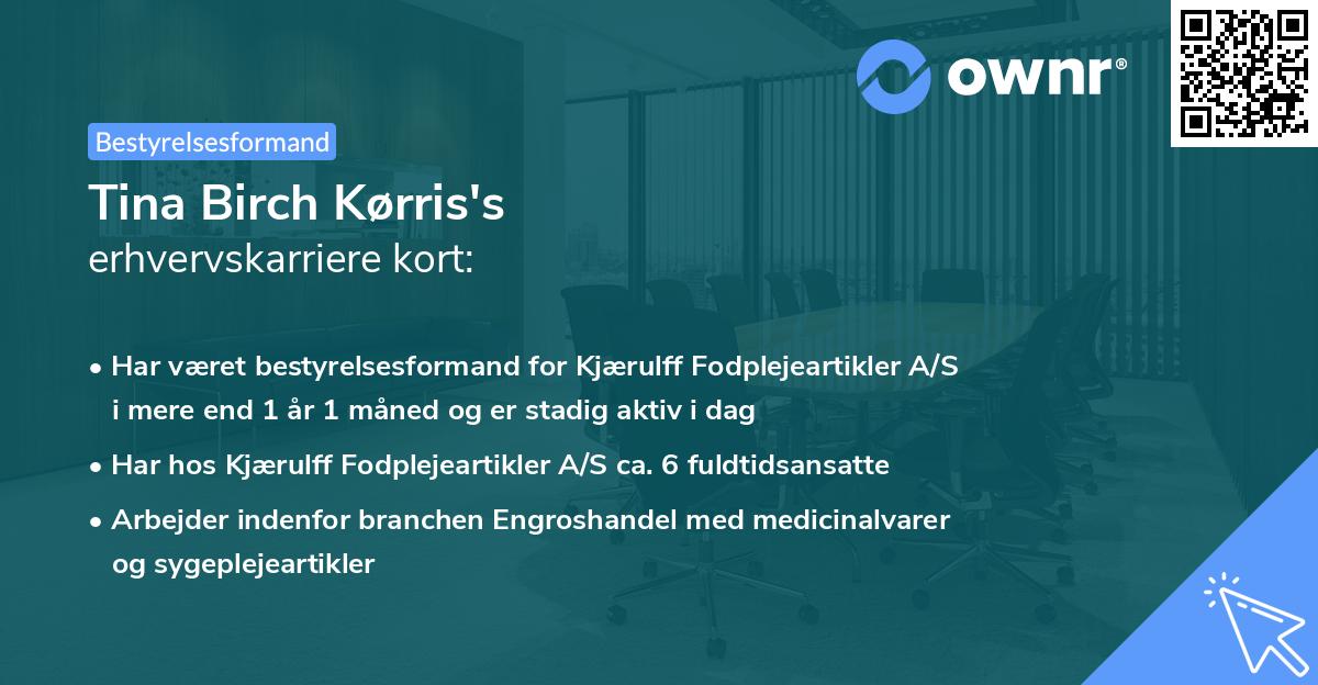 Tina Birch Kørris's erhvervskarriere kort